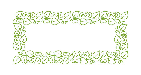 soy bean plant pattern rectangular frame ornament vector image