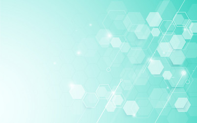 Modern Tech Hexagon Background vector image