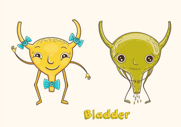 Cartoon character human bladder vector