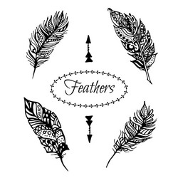 Artistically drawn feathers set vintage tribal Vector Image