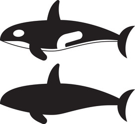 Cute orca isolated on white background Royalty Free Vector