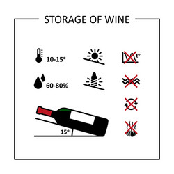 conditions long-term storage wine icons set vector