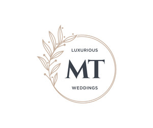 Mt initials letter wedding monogram logos Vector Image