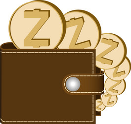 Zcash wallet with coins on a white background vector