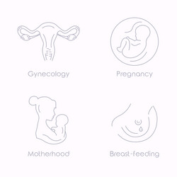 Medicine and pregnancy line icon vector