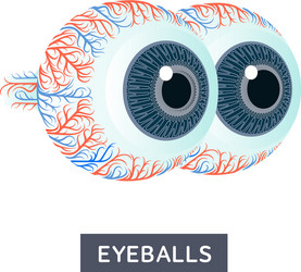 flat large human eye vector