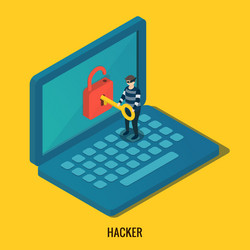 hacker breaks into computer vector image