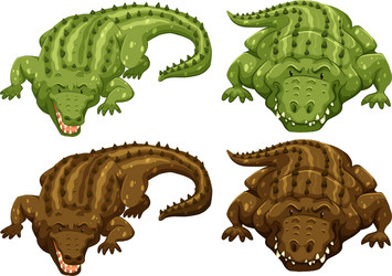 Scene with many crocodiles Royalty Free Vector Image