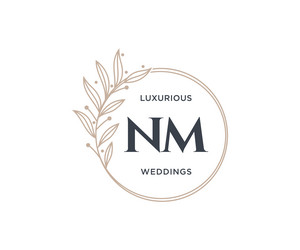 Nm initials letter wedding monogram logos Vector Image