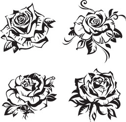 Elegant Black Rose Set Vector Image