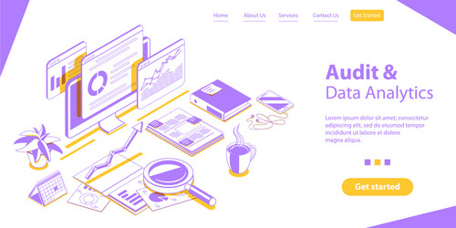 audit report and data analytics company vector image