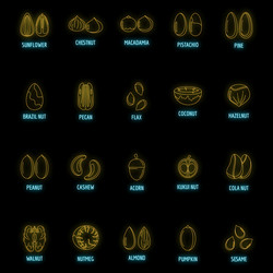 Nut types with signed names icons set neon vector