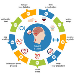 Infographics for stroke Royalty Free Vector Image