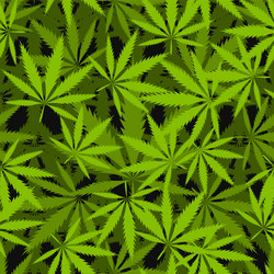 Marijuana Wallpaper Vector Images (over 1,400) Marijuana Wallpaper Vector Images (over 1,400)