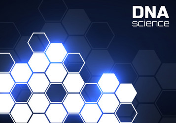 abstract background of hexagonal cells molecular vector image