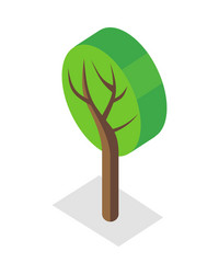 tree in isometric projection vector