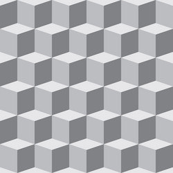 Geometric Cube Pattern vector image