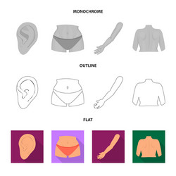 isolated object body and part symbol set vector image