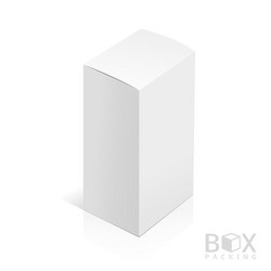 realistic white package box vector