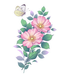 hand drawn dog-rose branch and butterfly Vector Image