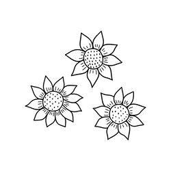 Three sunflowers black and white hand vector