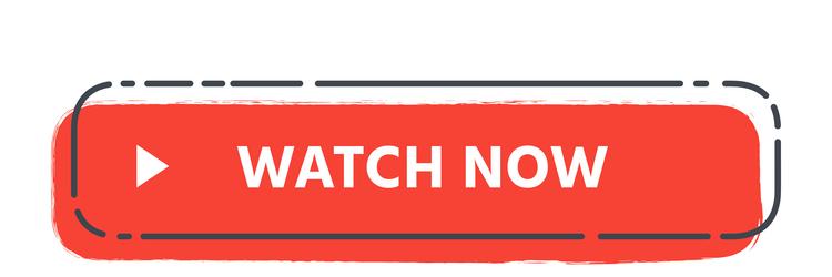 red rectangular button featuring rounded corners vector image