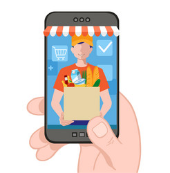 Man delivering online with grocery order from vector