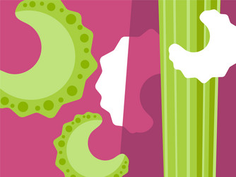 Sliced Celery Pattern vector image