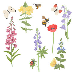 drawing wild flowers and insects Vector Image