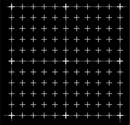 Measured grid graph plotting corner ruler vector