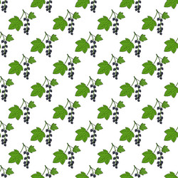 seamless pattern with black currant medicinal vector image