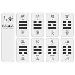 Eight Trigrams Bagua Symbols vector image