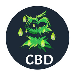 marijuana icons cbd cannabinoid logo vector