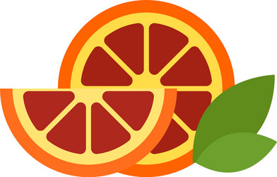 A round grapefruit slice and wedge Royalty Free Vector Image