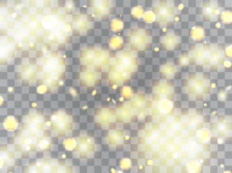 glowing light on a transparent background vector image