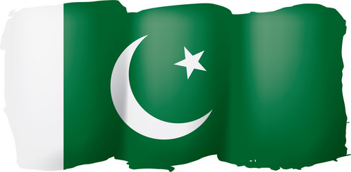 pakistan flag on a white vector