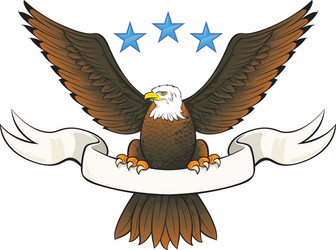 Bald eagle black Royalty Free Vector Image - VectorStock