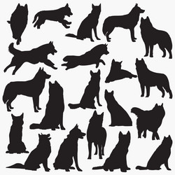 Siberian Husky Silhouettes Vector Image