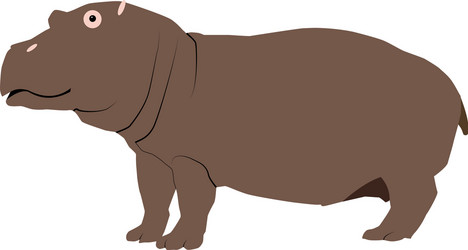 Color of a hippopotamus isolated vector