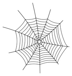 hand drawn spider net round line cobweb vector image