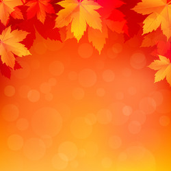 Abstract autumn background Royalty Free Vector Image