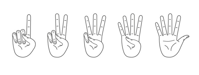 Palms count from one to five counting hands hand vector