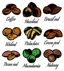 set of colored symbols patterns different seeds vector