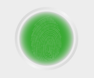 fingerprint scanning vector