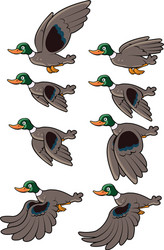 Animated Duck Flying Sequence vector image