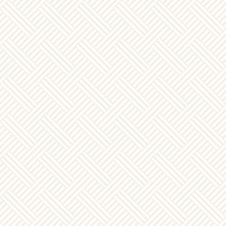 abstract geometric pattern with stripes lattice vector image