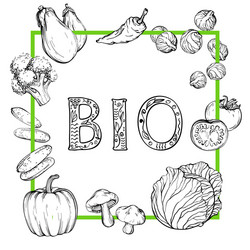 Bio background with hand-drawn vegetables black vector