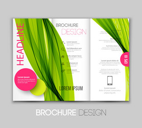 template leaflet design with color lines vector