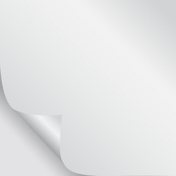 blank sheet of paper with page curl and shadow vector image