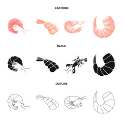 isolated object of appetizer and ocean symbol set vector image